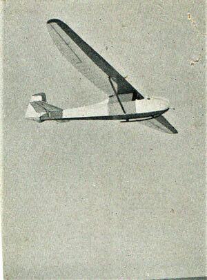 גרונאו ביבי.jpg